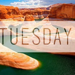 Tuesday