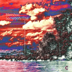 PREMIERE: Meeshoo — Someone (Whitesquare Remix) [Culprit]