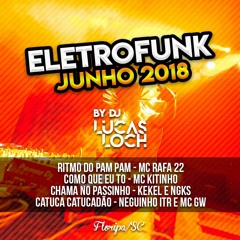 ELETROFUNK - Ritmo do Pam Pam, Como Que Eu To, Chama No Passinho e Catuca Catucadão(DJ LUCAS LOCH)
