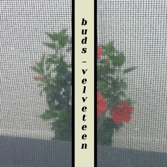 buds - velveteen