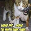 Download DJ SITI BADRIAH LAGI SYANTIK VS AISYAH JATUH CINTA PADA JAMILAH 2018 DJ SITI BADRIAH LAGI SYANTIK VS AISYAH JATUH CINTA PADA JAMILAH 2018