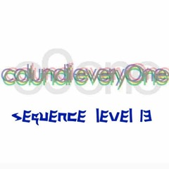 sequence level 13