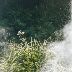 Irrigation