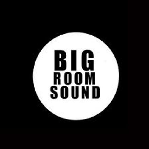 Stream DJ APJ Listen to Big Room Music (Hard House) playlist online