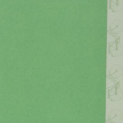 Bird doing bird things  : Piano Candy