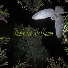 Don't Let Me Down (Prod by .Jar)