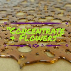 Concentrate & Flowers feat. CDM