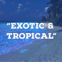 Exotic & Tropical feat. CDM