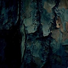 IAMZANE - Who Am I (Poetry)