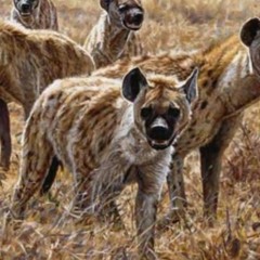 Rap Instrumental- King of the Hyenas