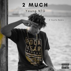 2 Much Freestyle (2 Vaults Young NTG remix)