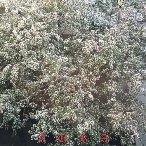 ✦ SPILLS - Wound Up ✦