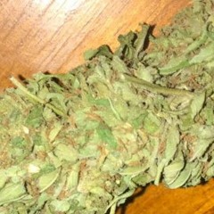 Insight- Monsters Self Confliction (Freestyle Track)