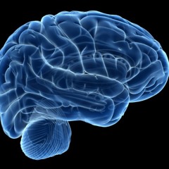 Conscience (prod. CashMoneyAP)