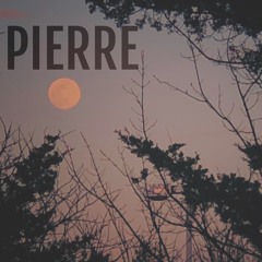 Pierre (Demo)