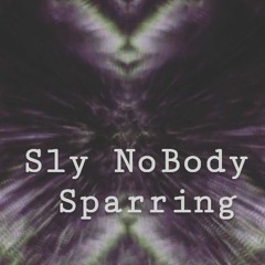 SPARRING (free download)