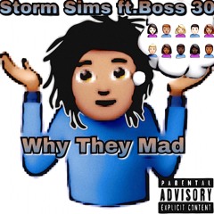 Storm ft.Boss 30-Why They Mad