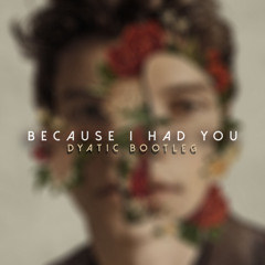 Shawn Mendes - Because I Had You (Dyatic Bootleg)