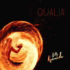Qualia