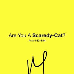 Are You A Scaredy-Cat?
