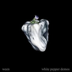Ween - Stay Forever