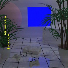 dreams/days before ascension