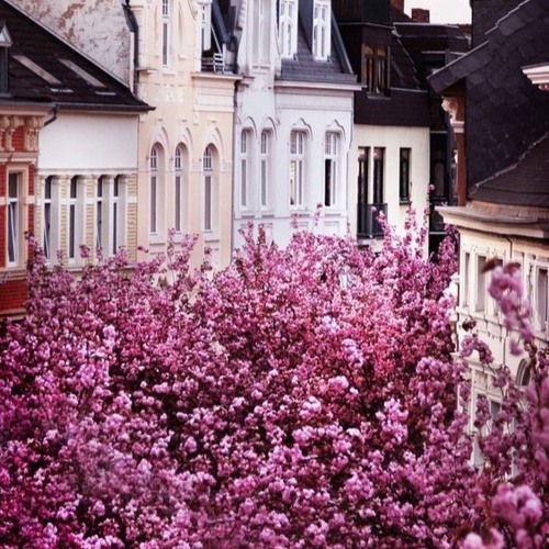 محمد عبده /أنتِ إن تؤمني بحبي