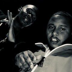 SBG - Facts Freestyle