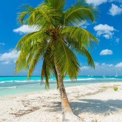 Feelin The Vibe feat. Alex Young