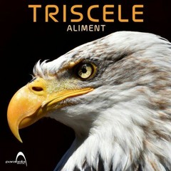 Triscele - Aliment,Aximilus