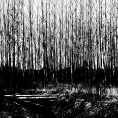 Everwinter(Feathers Fell Dub)