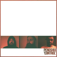 PENGSHUi - Control