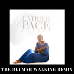 SHADOW, The DLUMAR Walking Remix