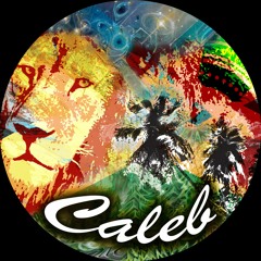 Caleb- Curly Locks (Summer Dub Rework + Single Release)