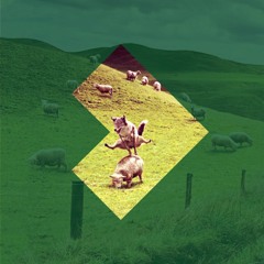 Signals Vol. 17 John Barera [Jack Dept] NYC