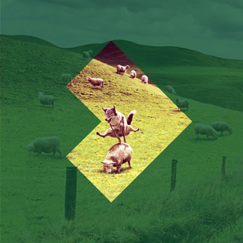 Signals Vol. 17 John Barera [Jack Dept] NYC