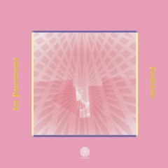 [Premiere] Behzad & Amarou - #Therapy (feat. Mathieu Deranlot) (out on Perchépolis)