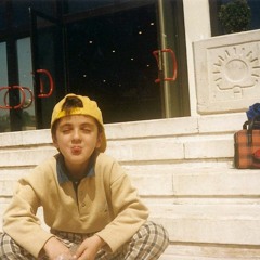 politik hayvanlar (demo)