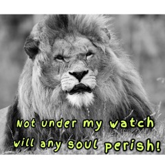 Not Under My Watch I