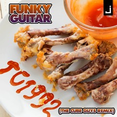 TC 1992 - Funky Guitar(The Cube Guys Remix)