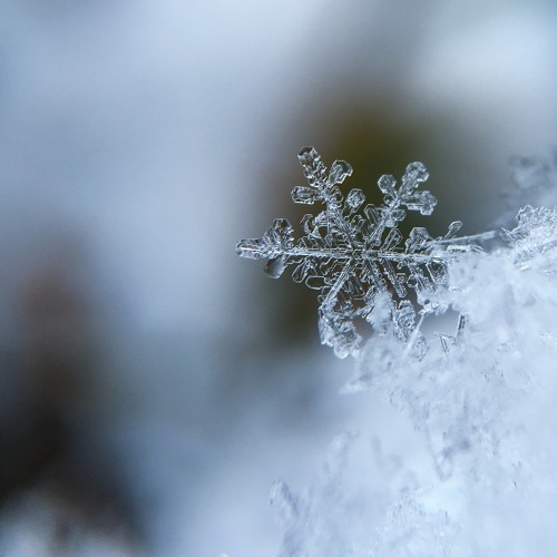 Cold Hands