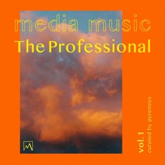 Media Music The Professional Vol1
