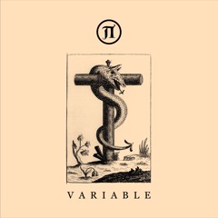 V/A - VARIABLE [Pi Electronics Compilation] // Snippets