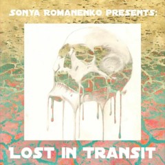 Lost In Transit