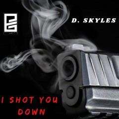 I Shot You Down