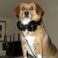 MINIMALECTRO TWISTED FANTASY _MINI MIX