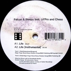 Falcon&Sleepy - Life