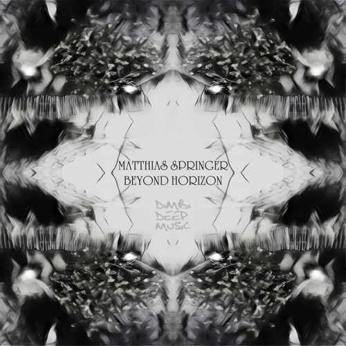 Matthias Springer - Horizon Below (Original Mix)