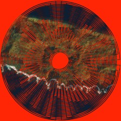 Florida temp's in New England...