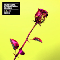 David Guetta & Brooks, Martin Garrix - Like I Do (SDJM Remix Extended)[FREE DL]